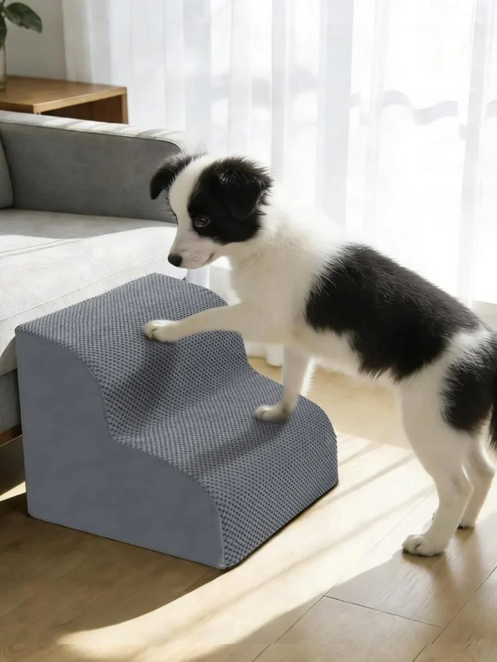 Dog Stairs for Small Dogs, 2-Steps Dog Ramp
